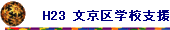 H23 wZx