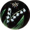 XY